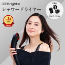 【公式】乾くのに乾かない ブライト シャワードライヤー Brighte SHOWER DRYER | ドライヤー ミストドライヤー ヘアドライヤー ナノ化ミスト 美容液 美容 美容家電 美容グッズ 美容デバイス 美髪 頭皮 おすすめ 人気