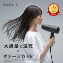 《公式店》【SALONIA サロニア スピーディー イオンドライヤー】■一部予約商品■4/5入荷予定 送料無料 1年保証 ◆30日間全額返金保証◆ドライヤー 軽量 人気 ランキング hk ギフト 卒業式 入学式